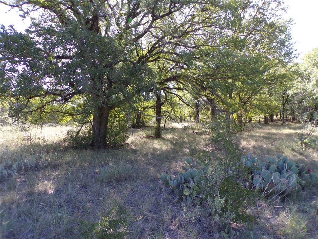 9999 Fm 2492 Brownwood TX 76801