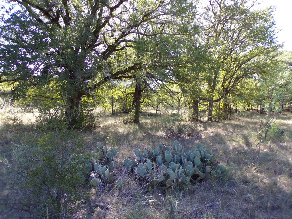 9999 Fm 2492 Brownwood TX 76801