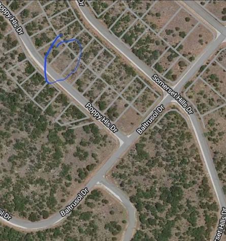170 Poppy Hills Drive Graford TX 76449