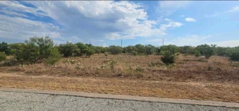 170 Poppy Hills Drive Graford TX 76449