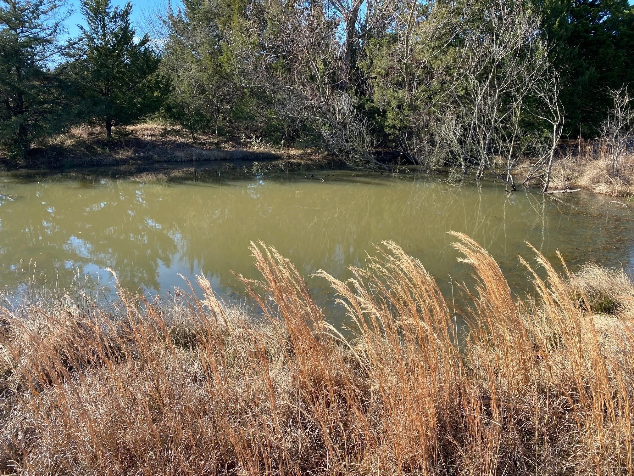 37 Ac Club Lake Lane Whitesboro TX 76273