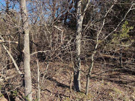 37 Ac Club Lake Lane Whitesboro TX 76273