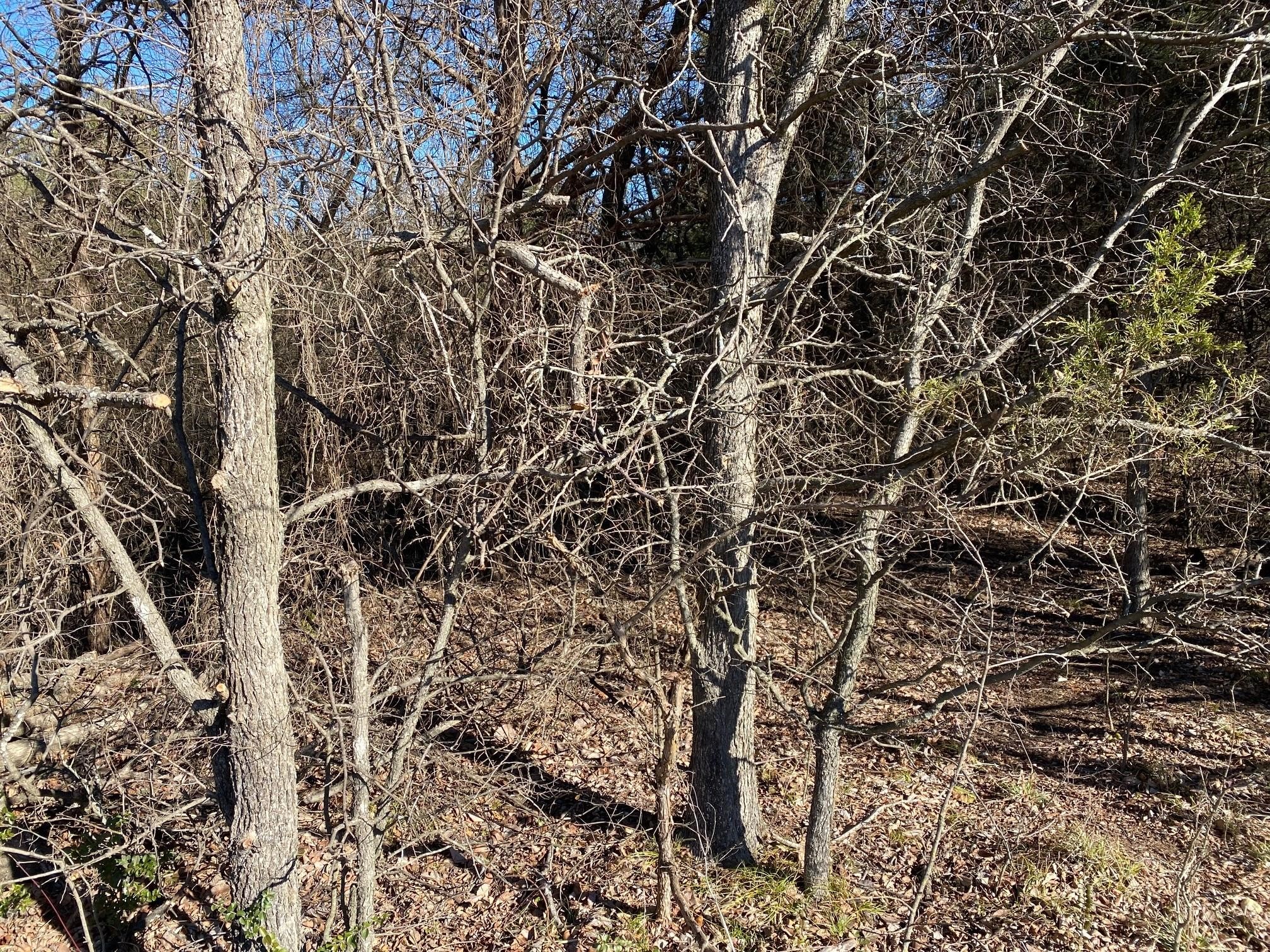 37 Ac Club Lake Lane Whitesboro TX 76273