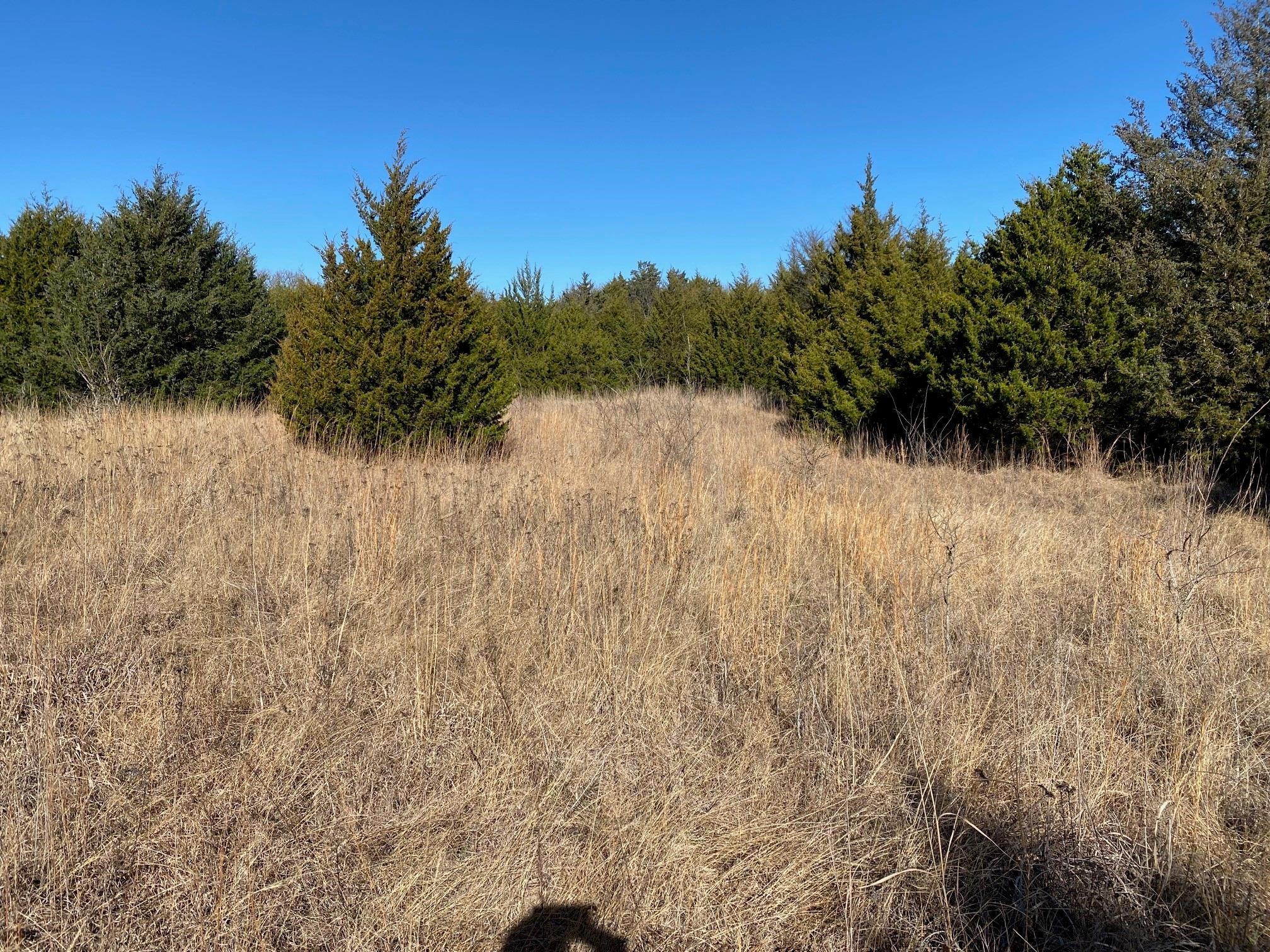 37 Ac Club Lake Lane Whitesboro TX 76273