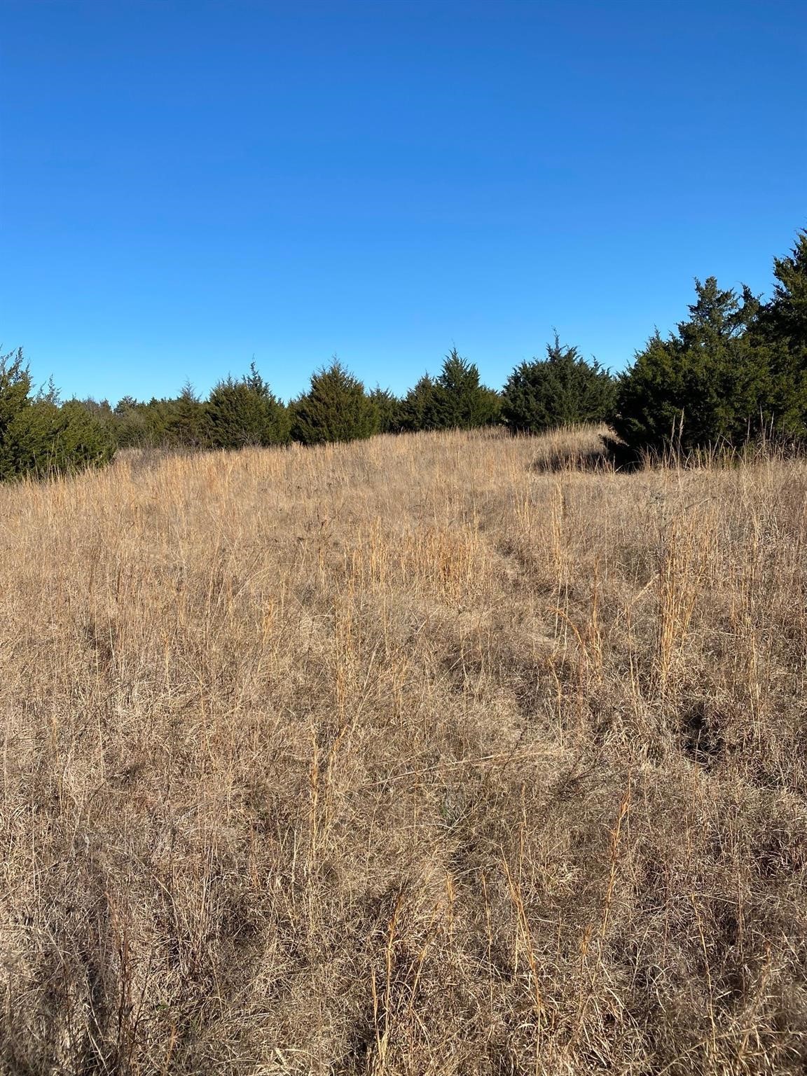 37 Ac Club Lake Lane Whitesboro TX 76273