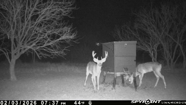 3574 E 180 Breckenridge TX 76424