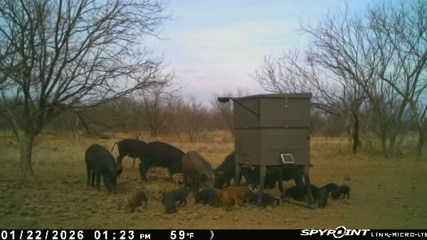 3574 E 180 Breckenridge TX 76424