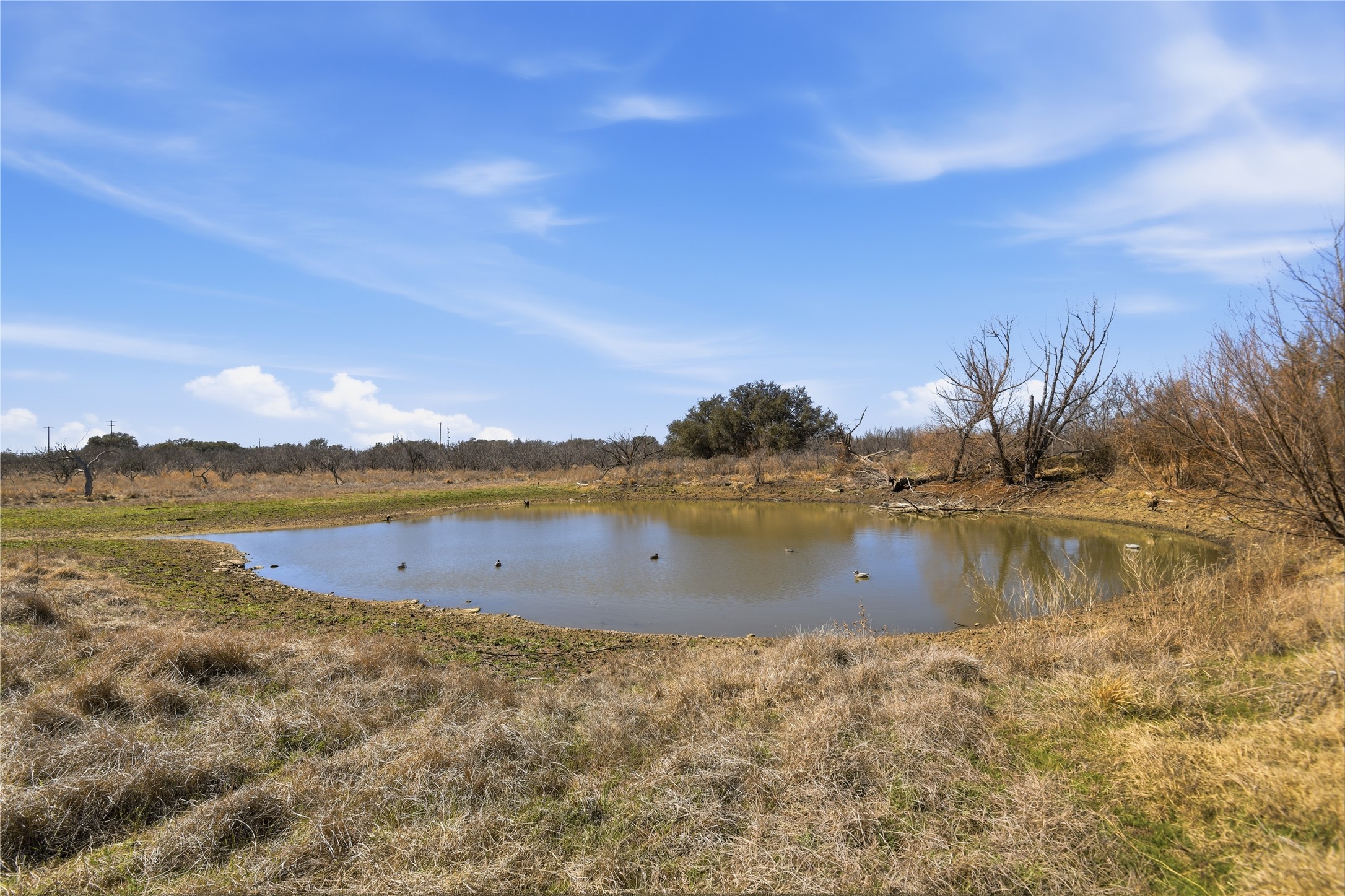 3574 E 180 Breckenridge TX 76424