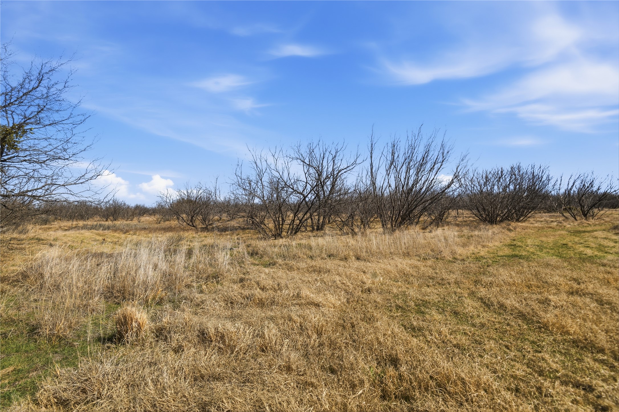3574 E 180 Breckenridge TX 76424