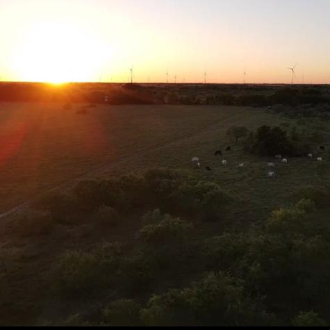 Tbd SW 2250 Road Dawson TX 76639