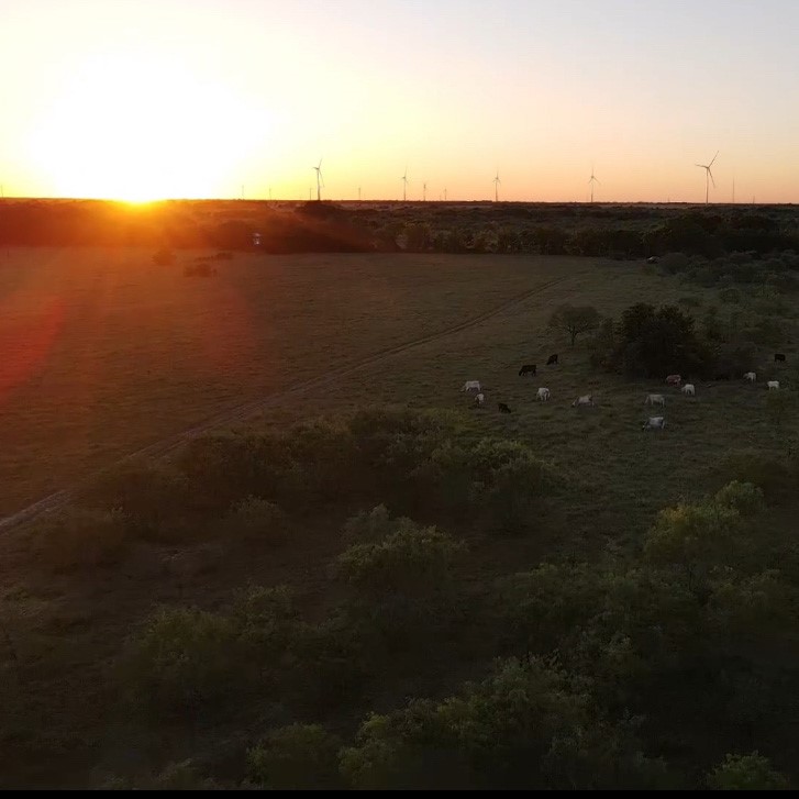 Tbd SW 2250 Road Dawson TX 76639