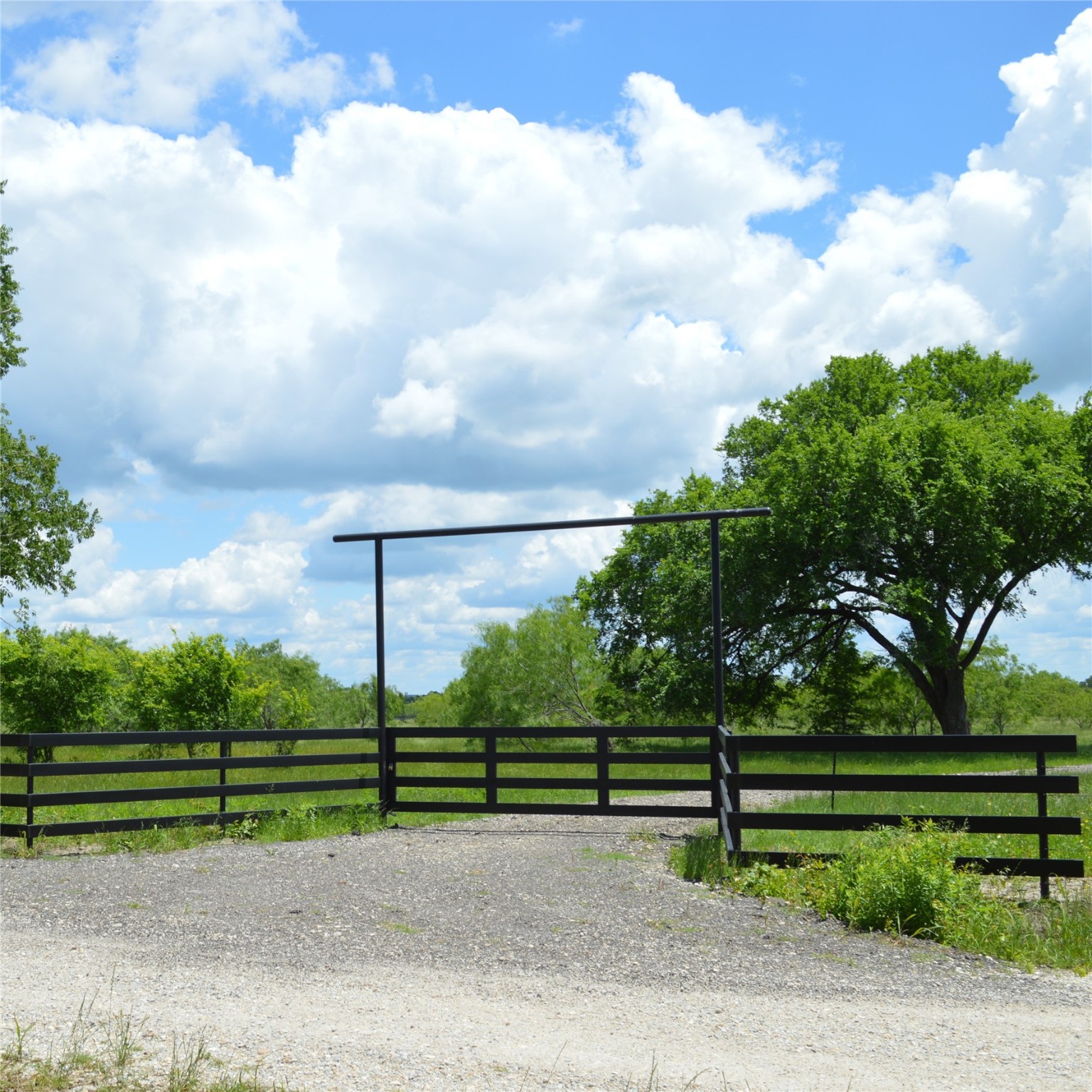Tbd SW 2250 Road Dawson TX 76639