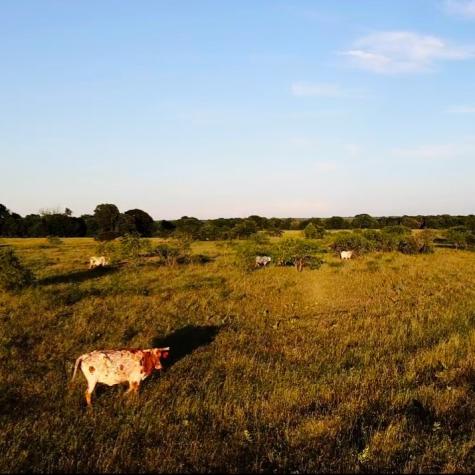 Tbd SW 2250 Road Dawson TX 76639