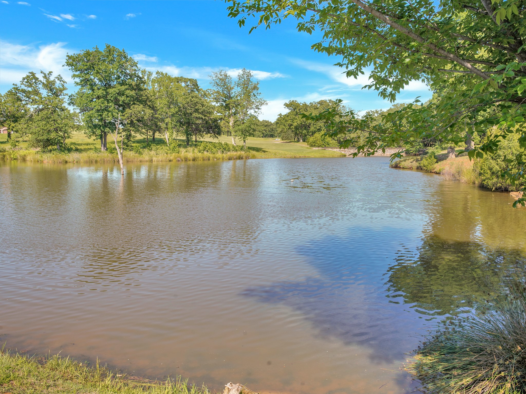 Tbd Meridian Lane Gordonville TX 76245