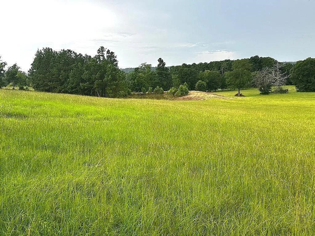 1840 County Road 1306 Rusk TX 75785