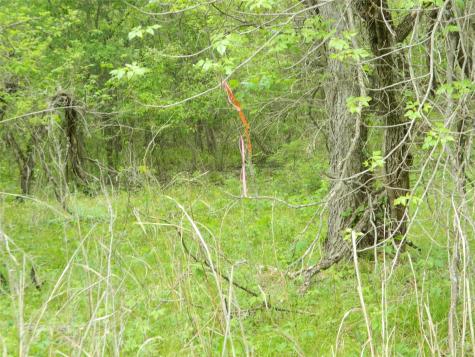 Tbd SW Cr 0030 Corsicana TX 75110