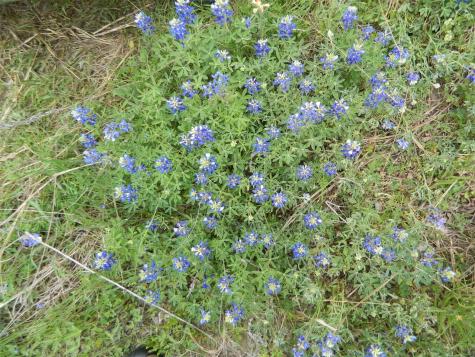 Tbd SW Cr 0030 Corsicana TX 75110