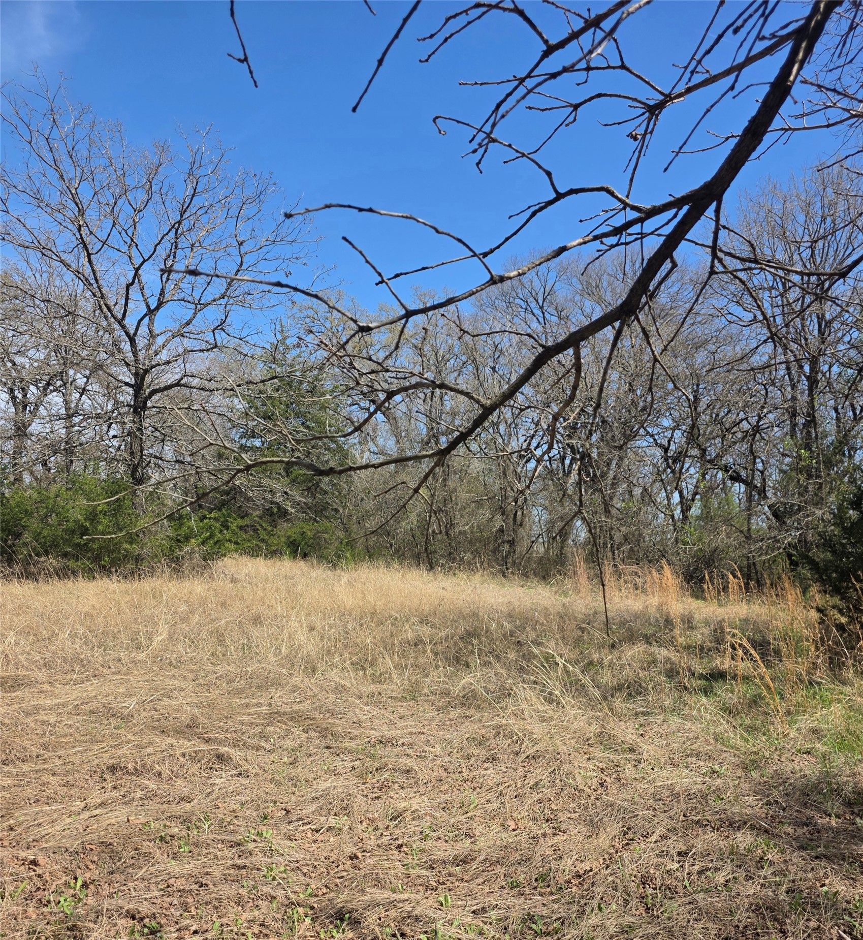 9319 U S Highway 287 Alvord TX 76225