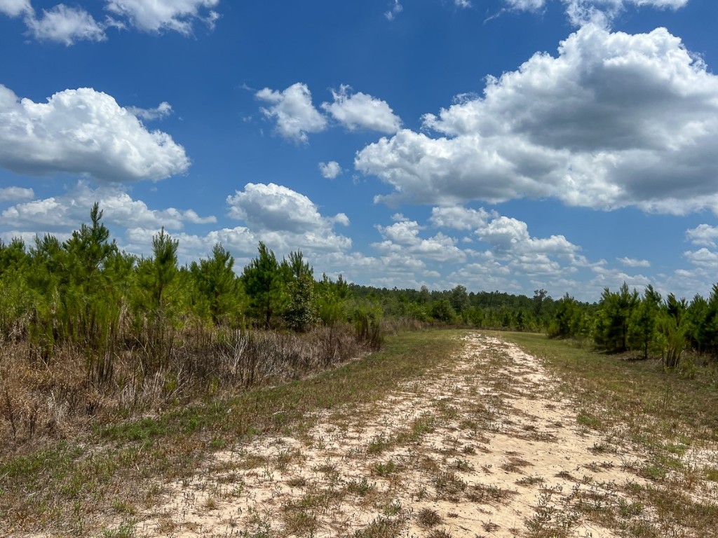 0 Us 69 Woodville TX 77664
