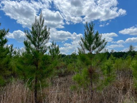 0 Us 69 Woodville TX 77664