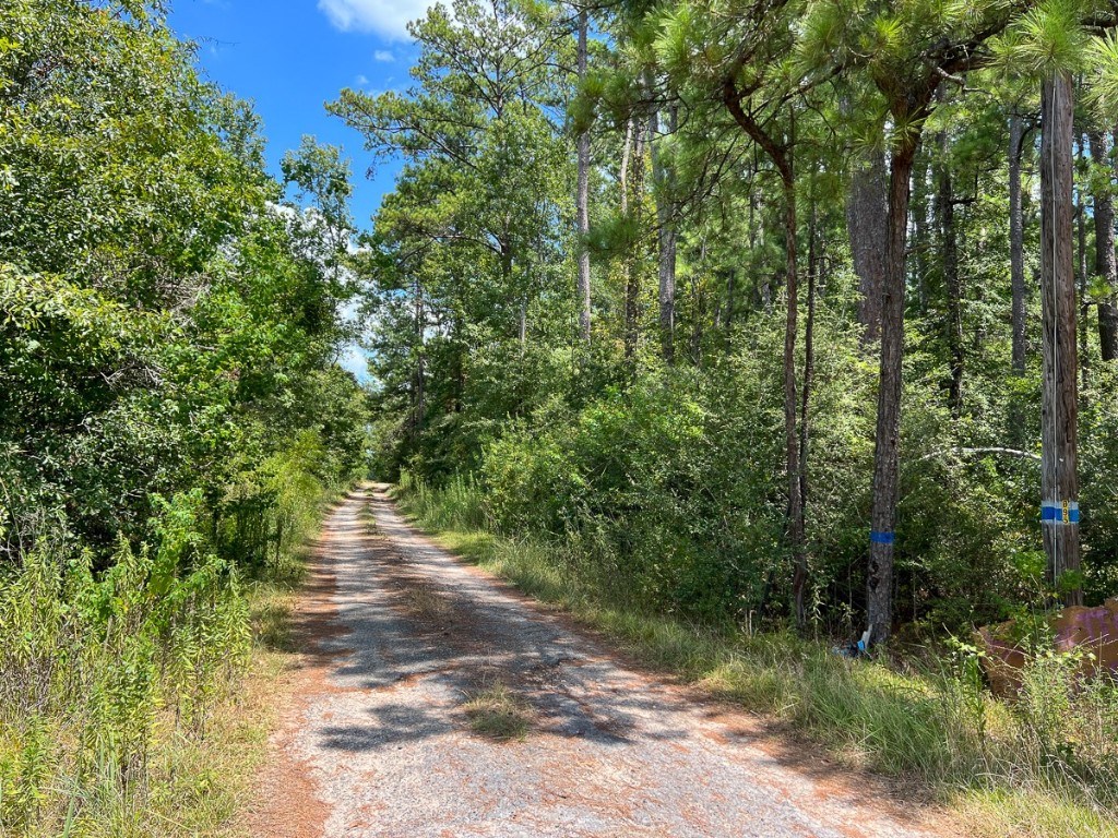 0 Us 69 Woodville TX 77664