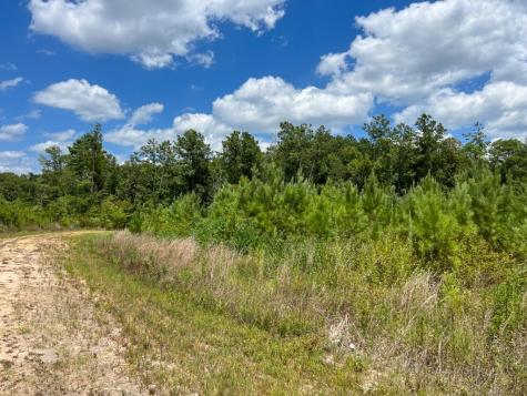0 Us 69 Woodville TX 77664