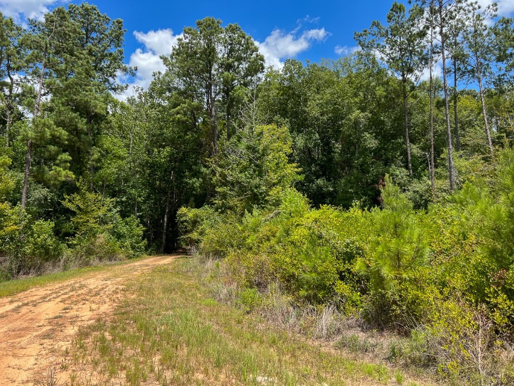0 Us 69 Woodville TX 77664
