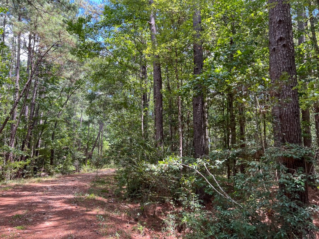0 Us 69 Woodville TX 77664