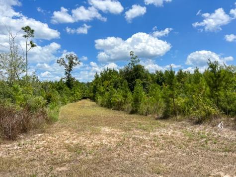 0 Us 69 Woodville TX 77664