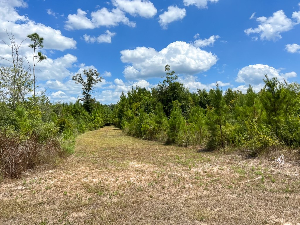 0 Us 69 Woodville TX 77664