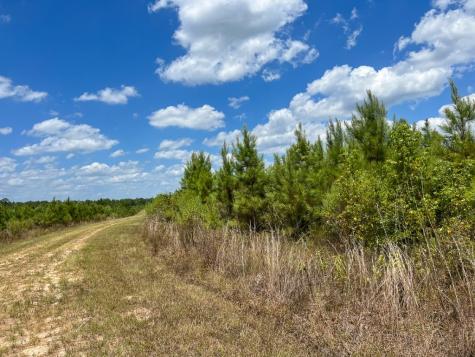 0 Us 69 Woodville TX 77664