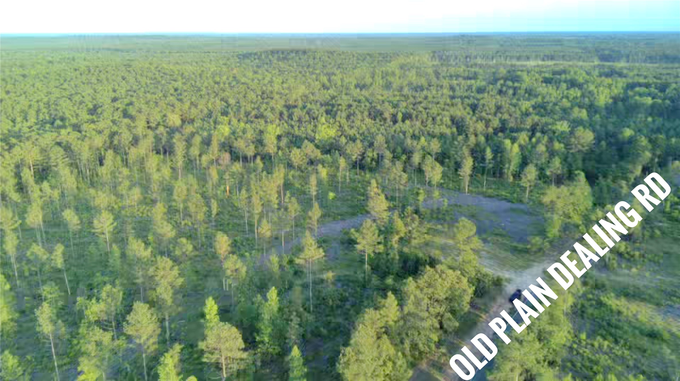 0 Old Plain Dealing Road Plain Dealing LA 71064