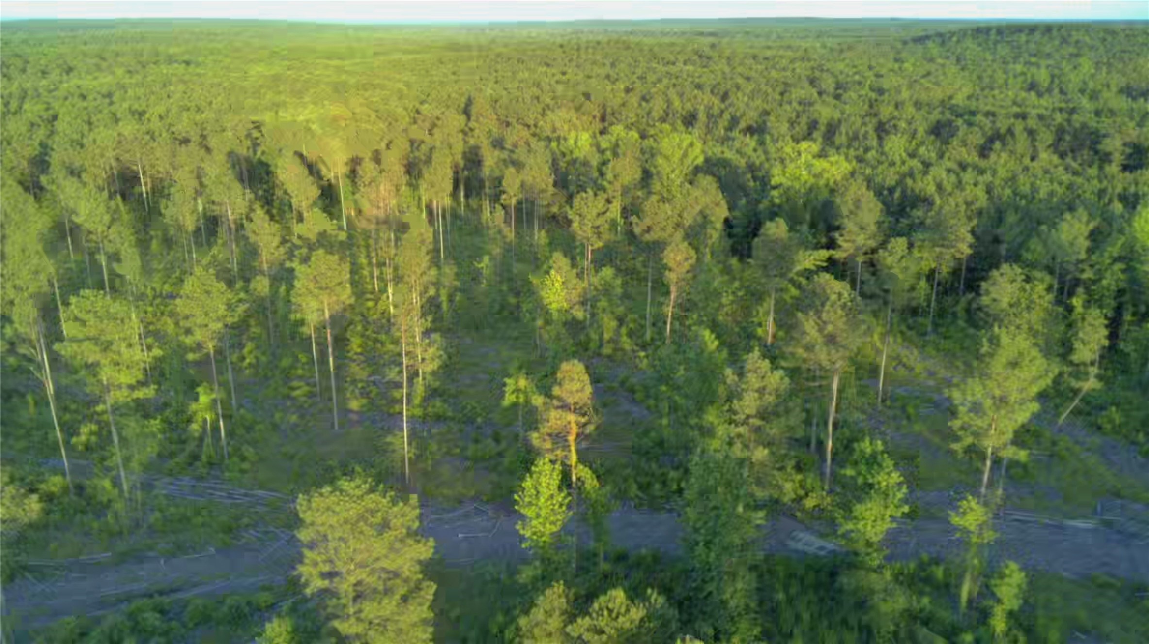 0 Old Plain Dealing Road Plain Dealing LA 71064