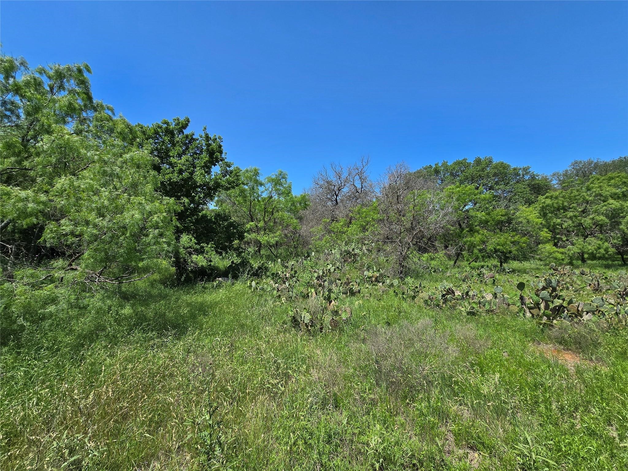 450 Cr 250 Gustine TX 76455