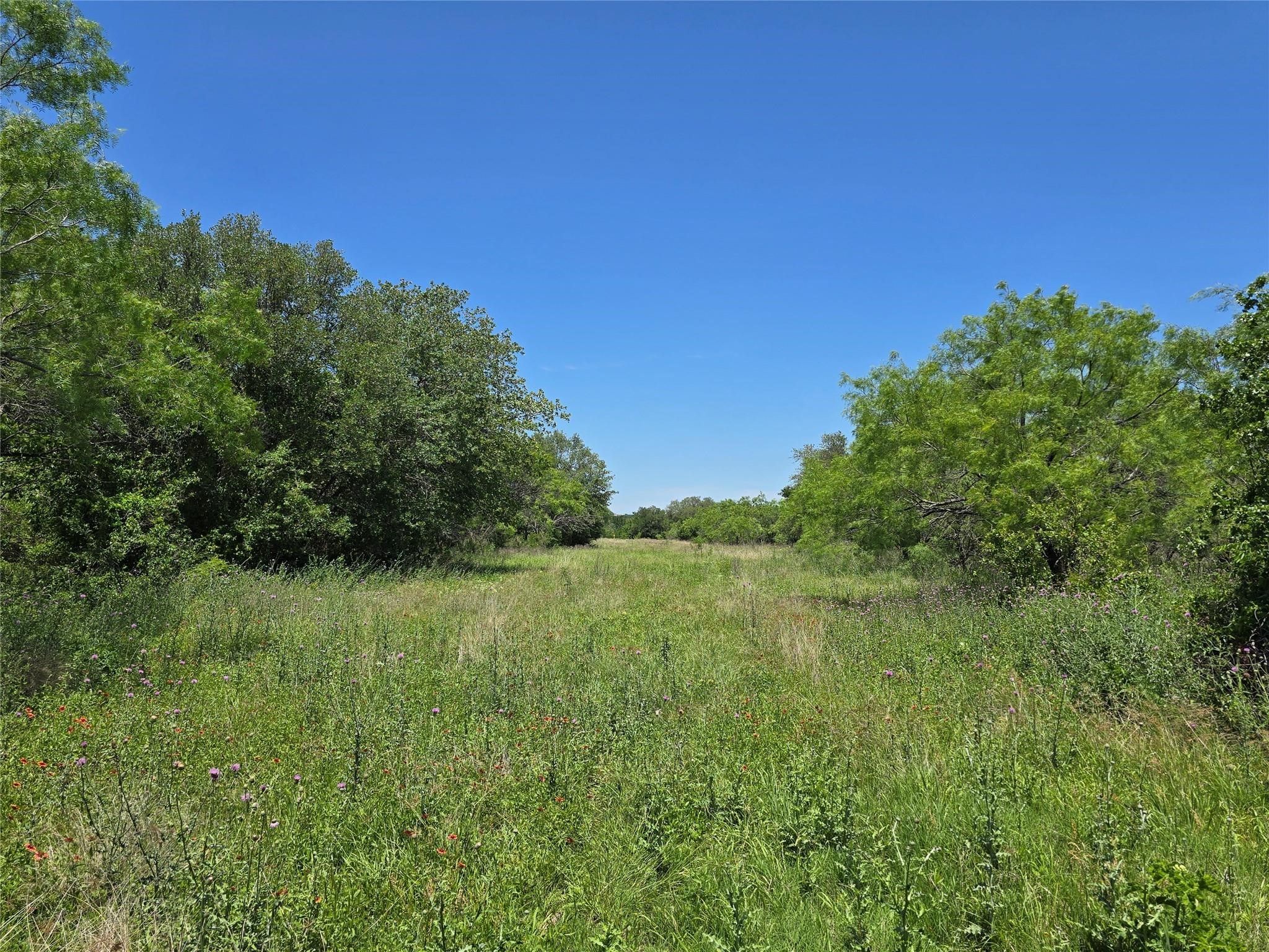 450 Cr 250 Gustine TX 76455