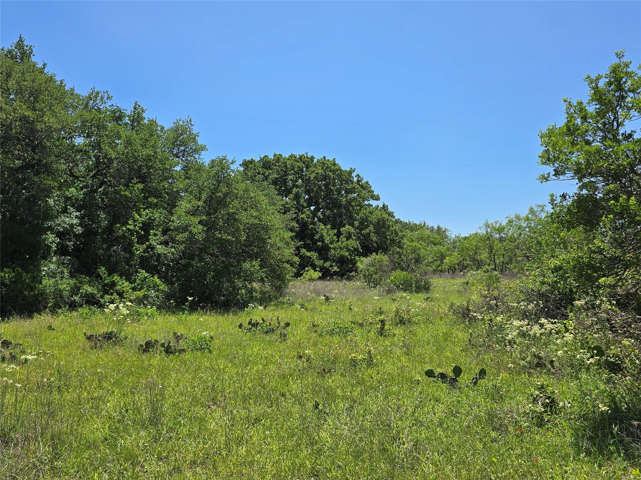 450 Cr 250 Gustine TX 76455