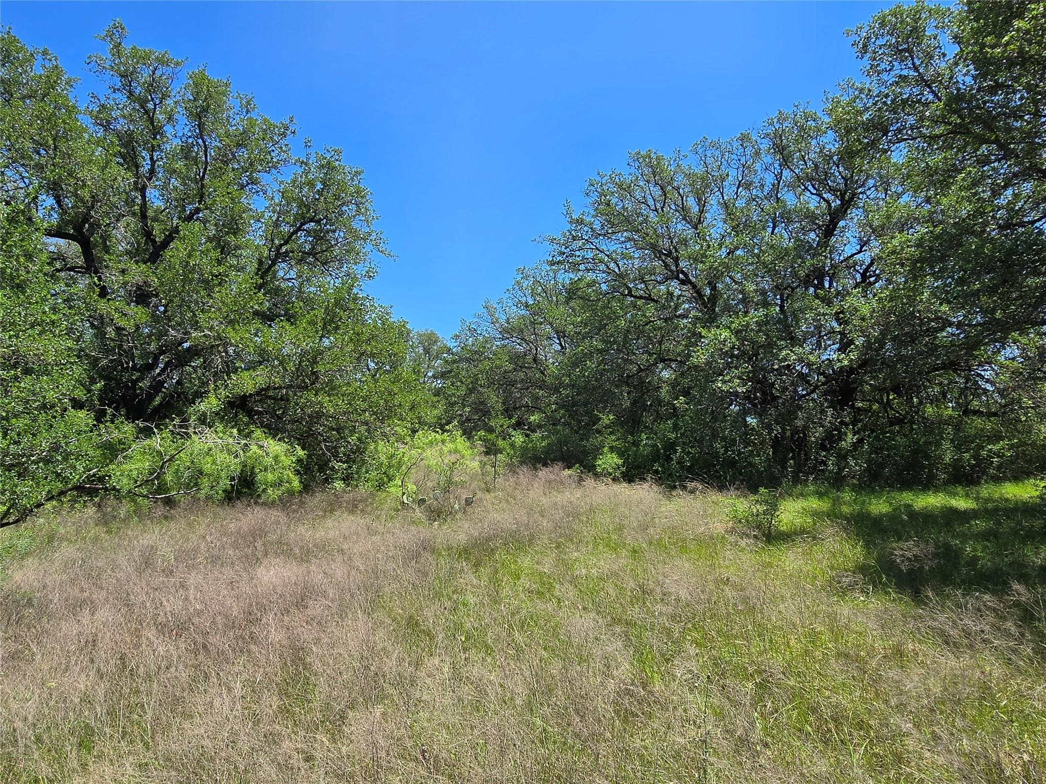450 Cr 250 Gustine TX 76455