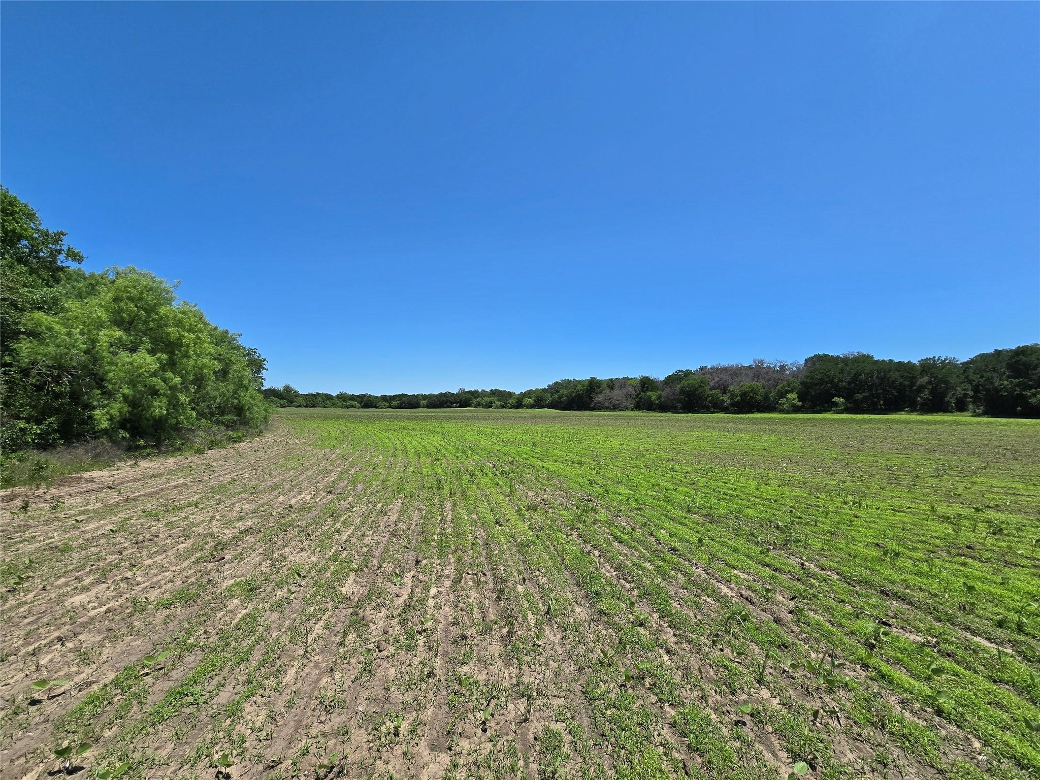 450 Cr 250 Gustine TX 76455