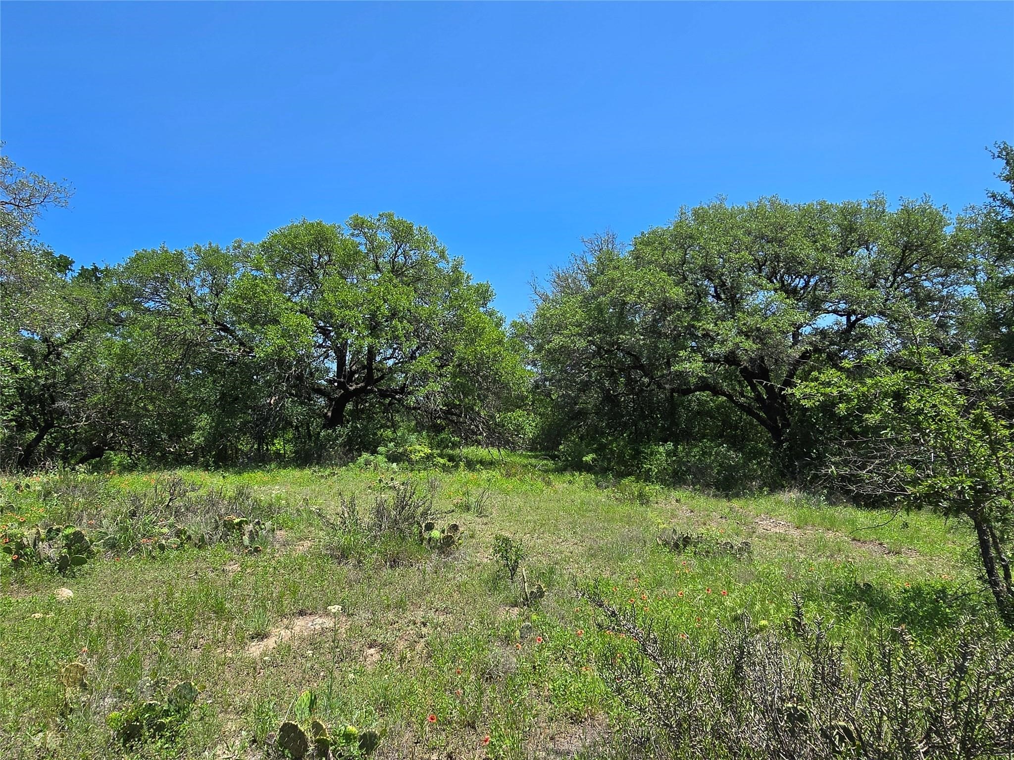 450 Cr 250 Gustine TX 76455