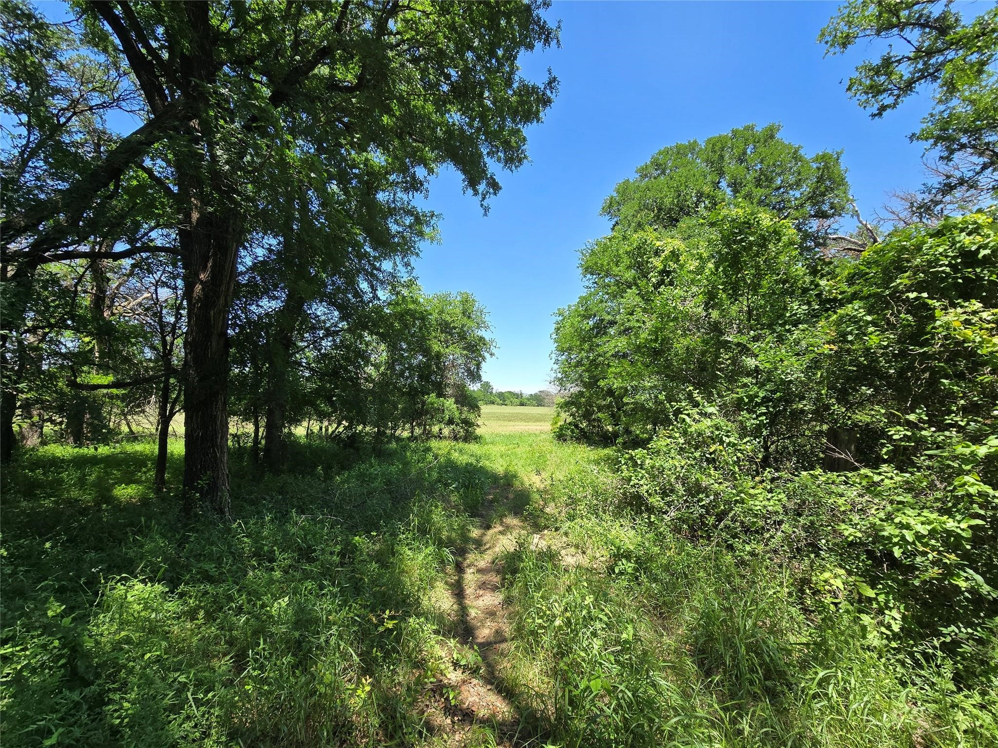 450 Cr 250 Gustine TX 76455