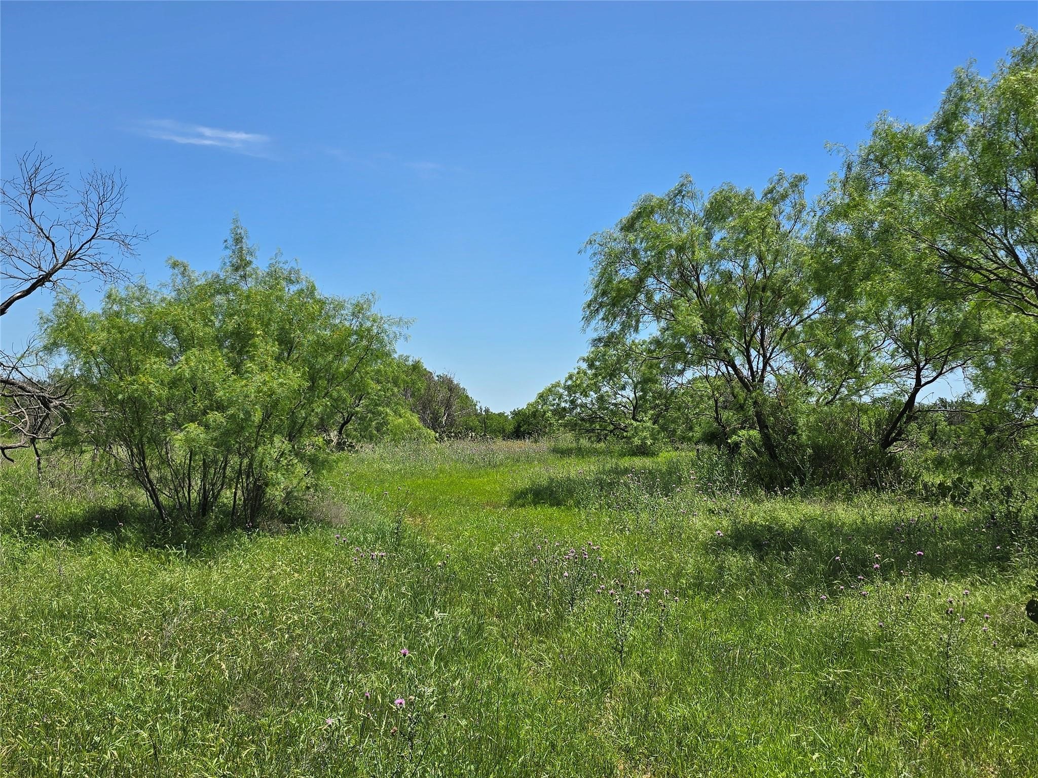 450 Cr 250 Gustine TX 76455