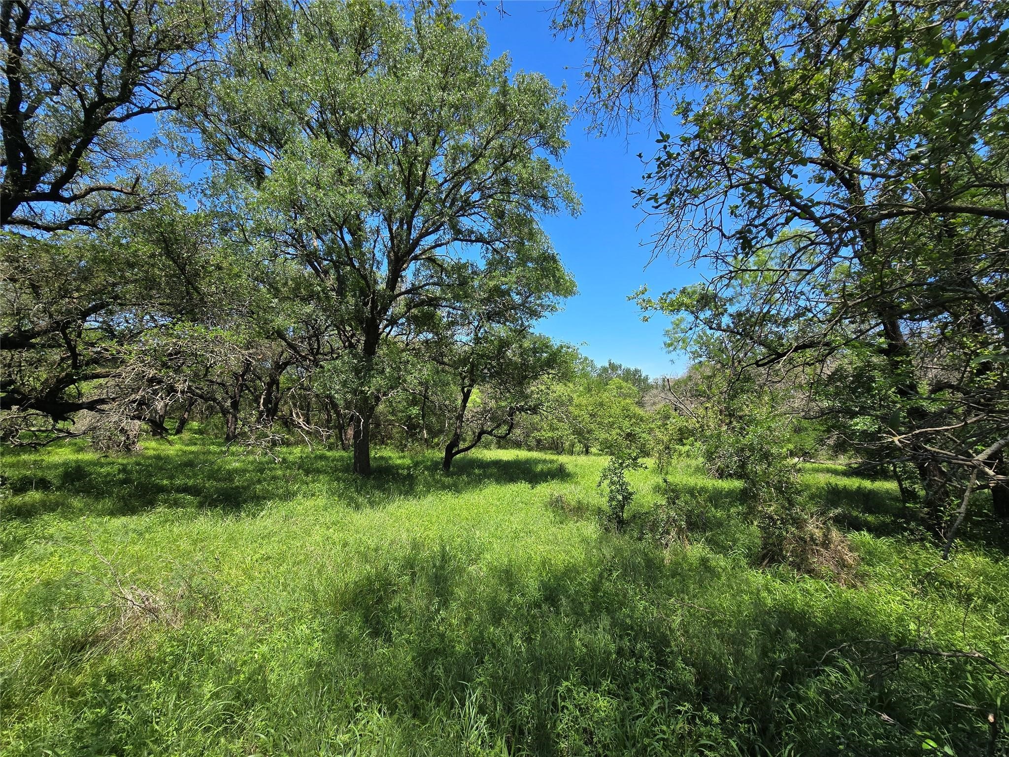 450 Cr 250 Gustine TX 76455