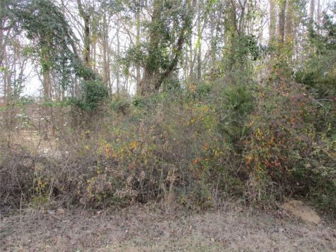 Tbd Wood County Road 2958 Alba TX 75410