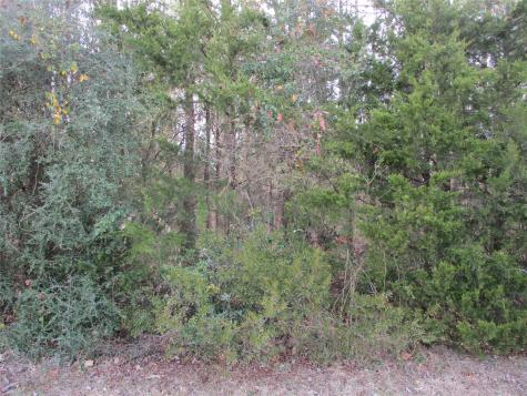 Tbd Wood County Road 2958 Alba TX 75410