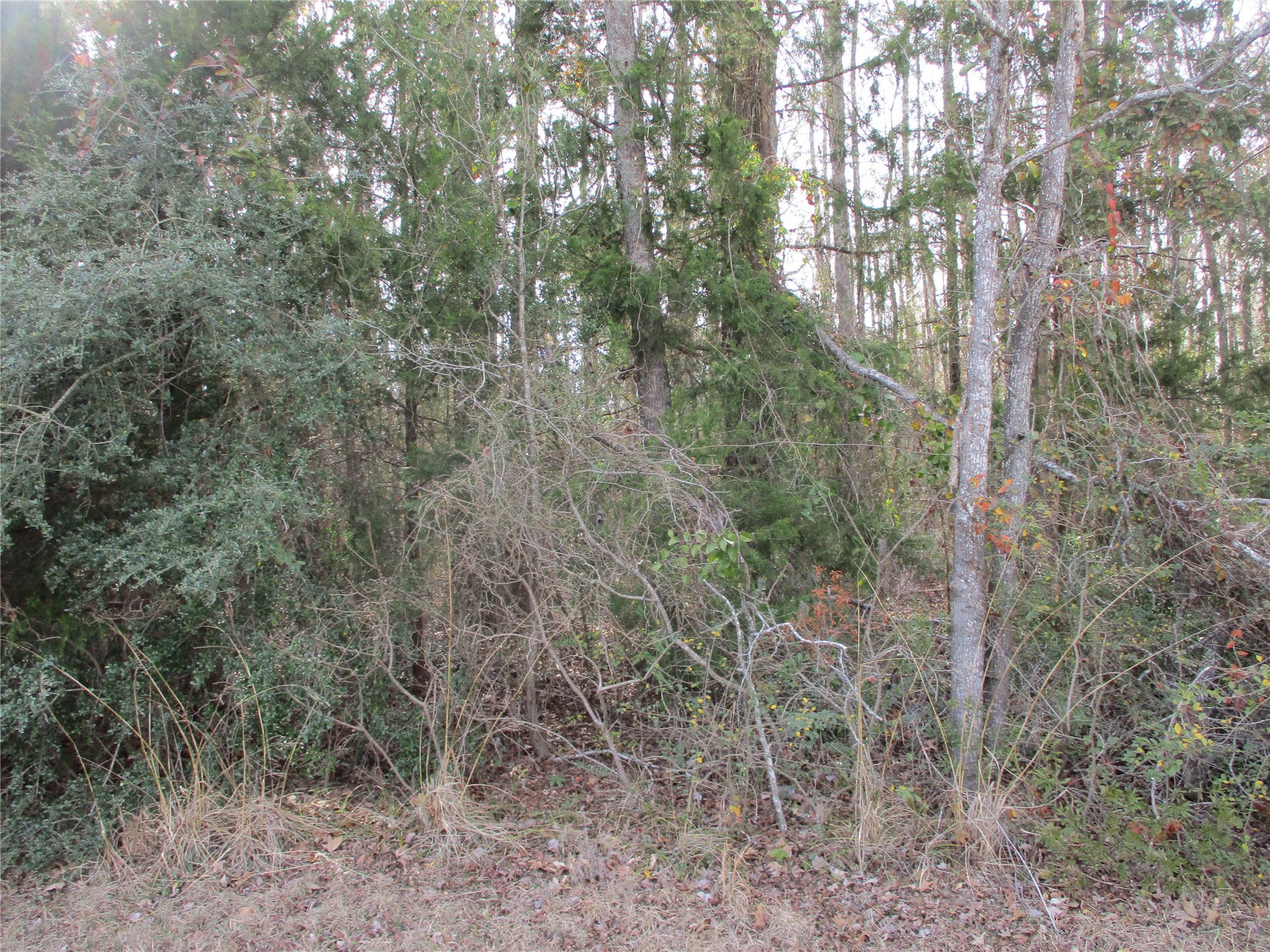 Tbd Wood County Road 2958 Alba TX 75410
