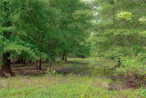 00 Off Of Farm To Market Road 2064 Troup TX 75789