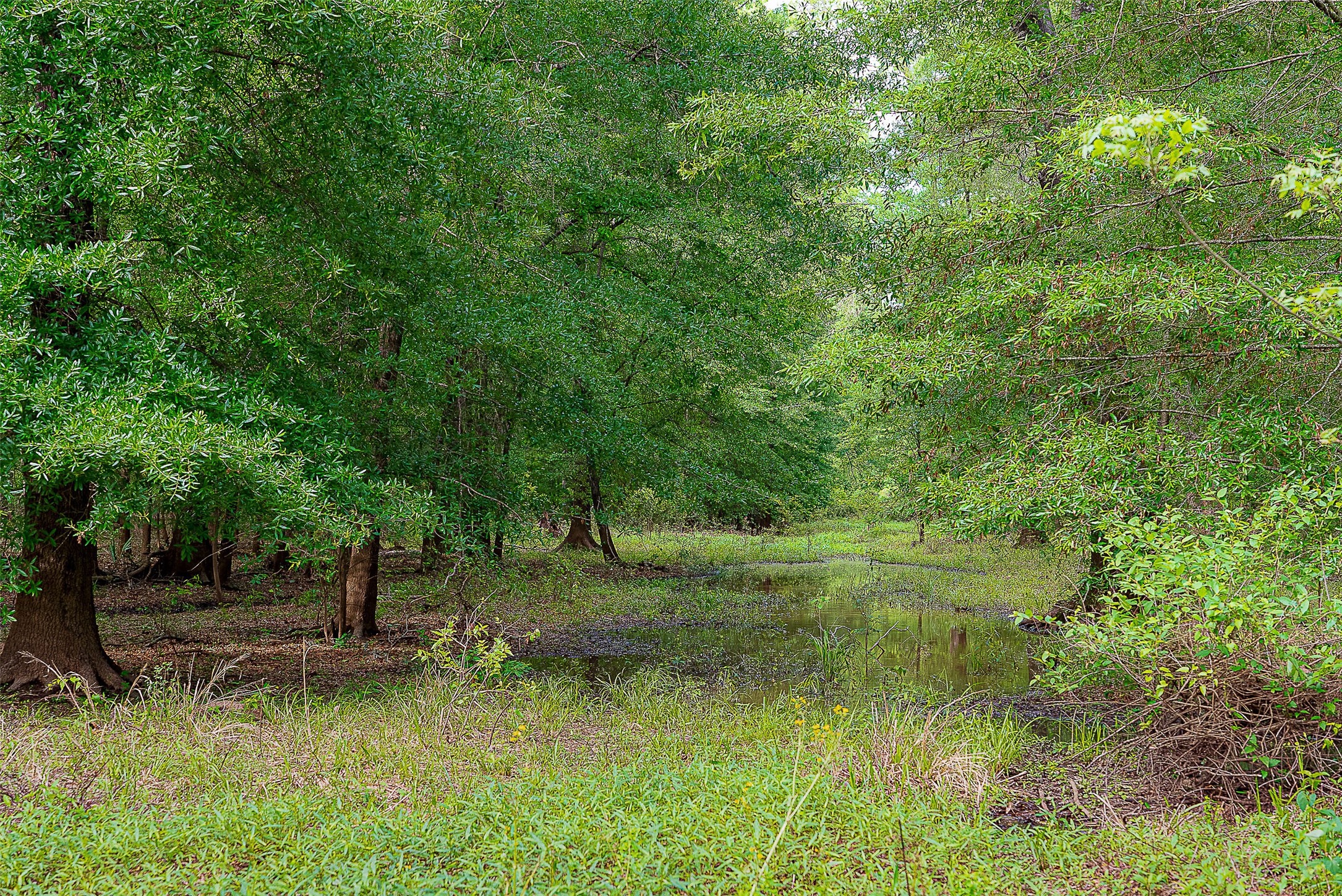 00 Off Of Farm To Market Road 2064 Troup TX 75789