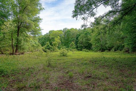 00 Off Of Farm To Market Road 2064 Troup TX 75789