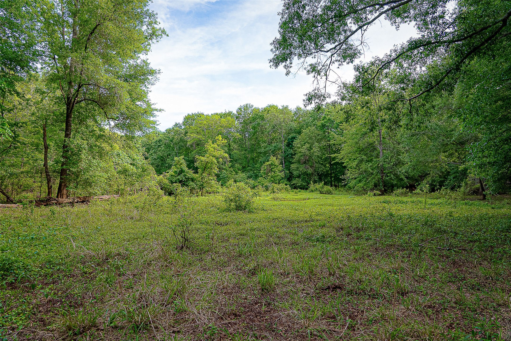 00 Off Of Farm To Market Road 2064 Troup TX 75789