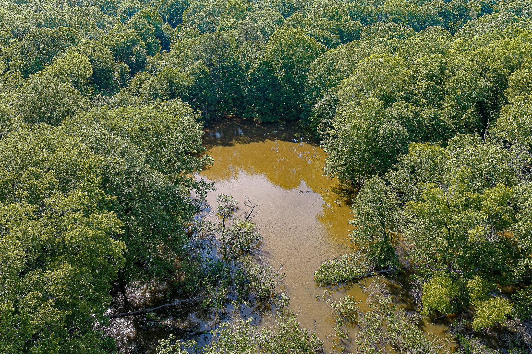 00 Off Of Farm To Market Road 2064 Troup TX 75789